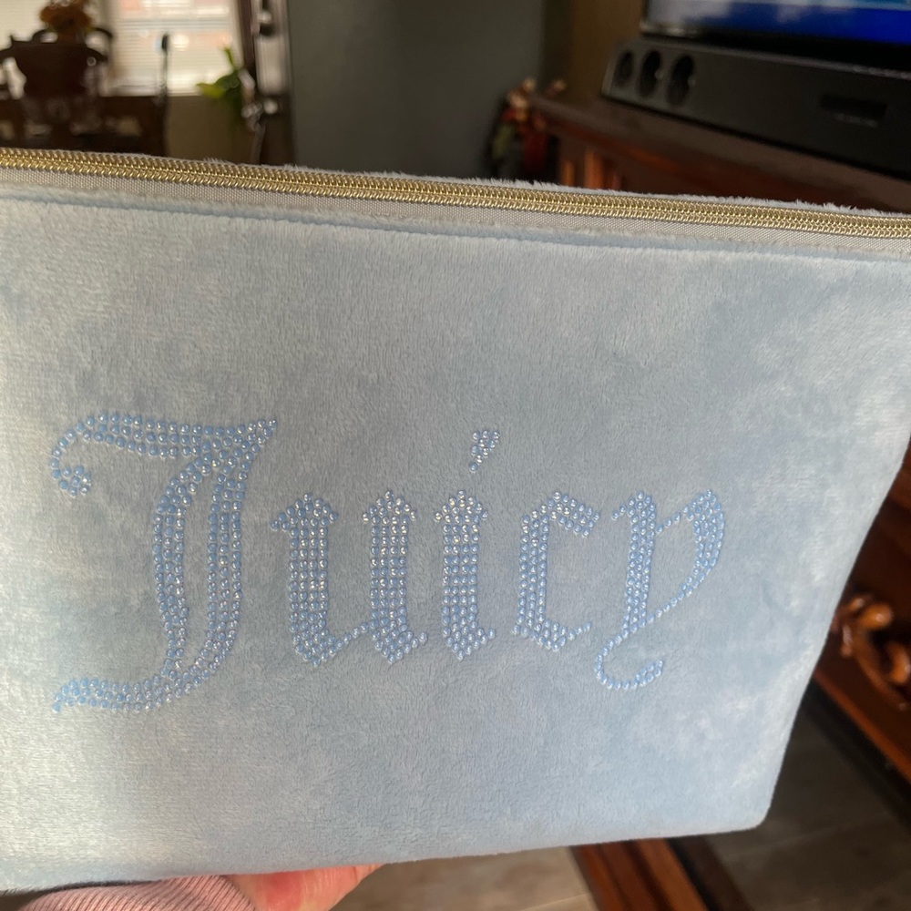 Juicy Light Blue Velour Pouch with Gold Zipper - Picture 2 of 8